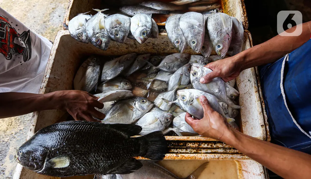 Selain mudah diolah dan harga terjangkau, ikan juga mudah ditemui di berbagai pasar serta memiliki kandungan gizi yang bermanfaat bagi kesehatan. (Liputan6.com/Angga Yuniar)