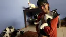 Lizi Inga saat memegang seekor kucing dirumahnya, Lima, Peru (4/8/2015). Inga merupakan seorang wanita yang mempunyai penampungan kucing sekitar 50 ekor dirumahnya sendiri. (Reuters/Mariana Bazo)