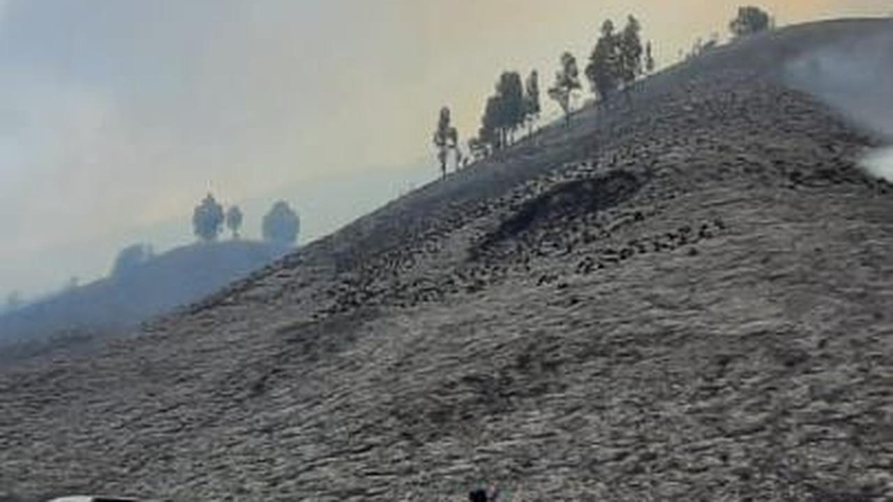 Balai Besar Taman Nasional Bromo Tengger Semeru (BB TNBTS) memutuskan untuk menutup total aktivitas wisata akibat kebakaran Bukit Telletubies.