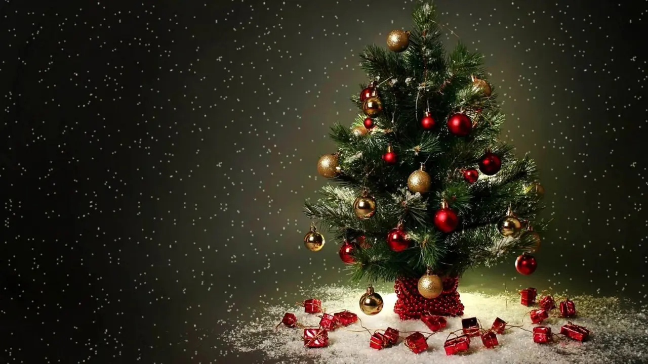 Tips Mudah Membersihkan Pohon Natal