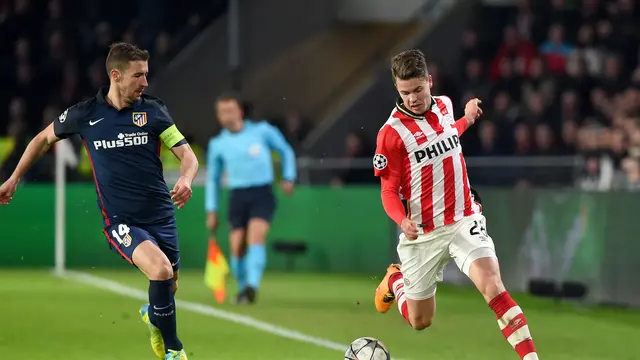Marco van Ginkel