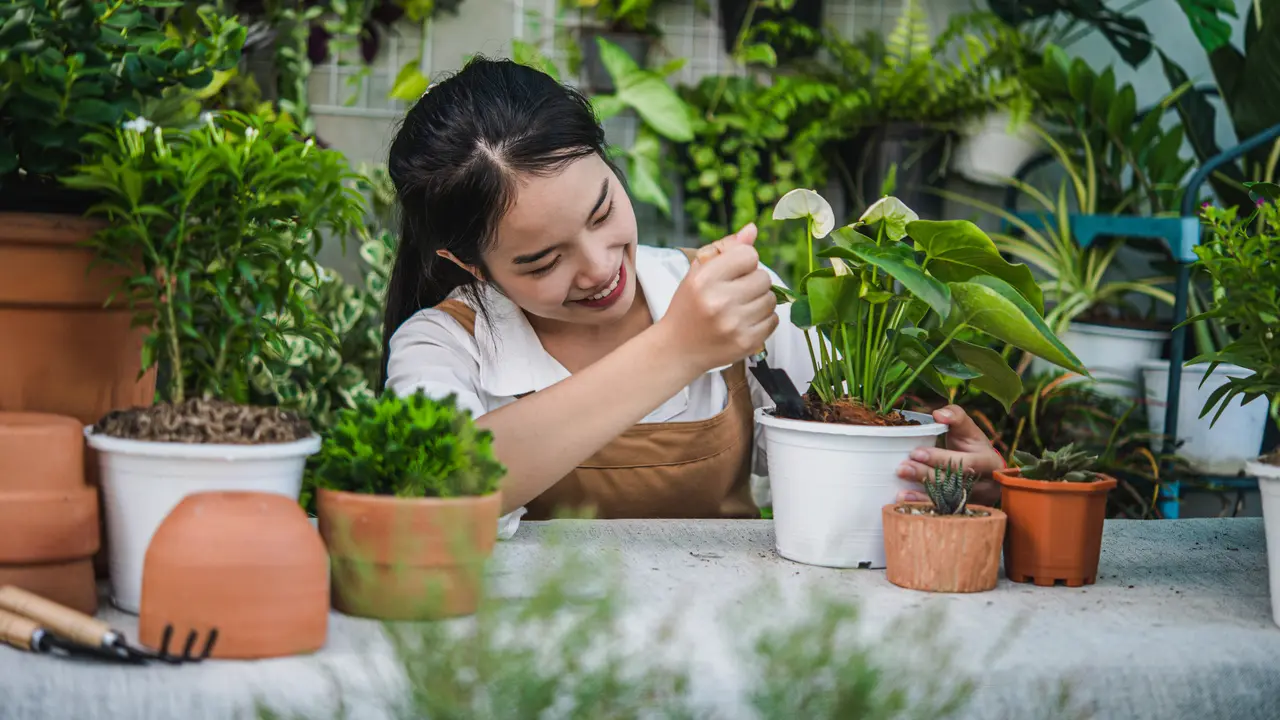 Seorang perempuan sedang berkebun di rumahnya (Foto Dok: Freepik/jcomp)