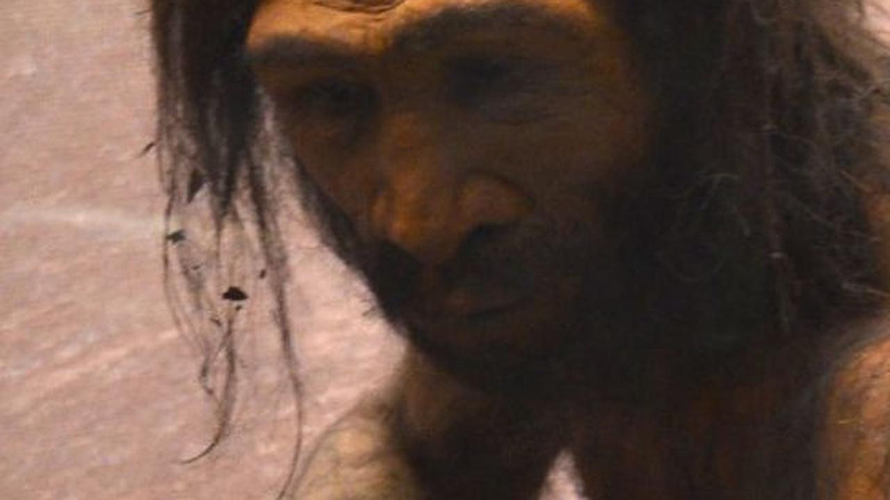 Homo Bodoensis, Spesies Baru Manusia Purba Ditemukan di Ethiopia, Hidup Sekitar 774.000 Tahun Lalu