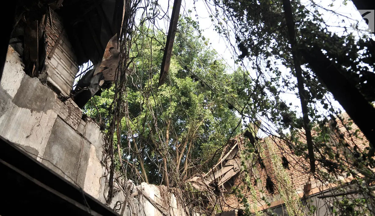 Kondisi bagian atap gedung Galangan VOC pascaambruk di kawasan Kota Tua, Penjaringan, Jakarta, Minggu (3/6). Tidak ada korban jiwa dalam peristiwa tersebut. (Merdeka.com/Iqbal Nugroho)