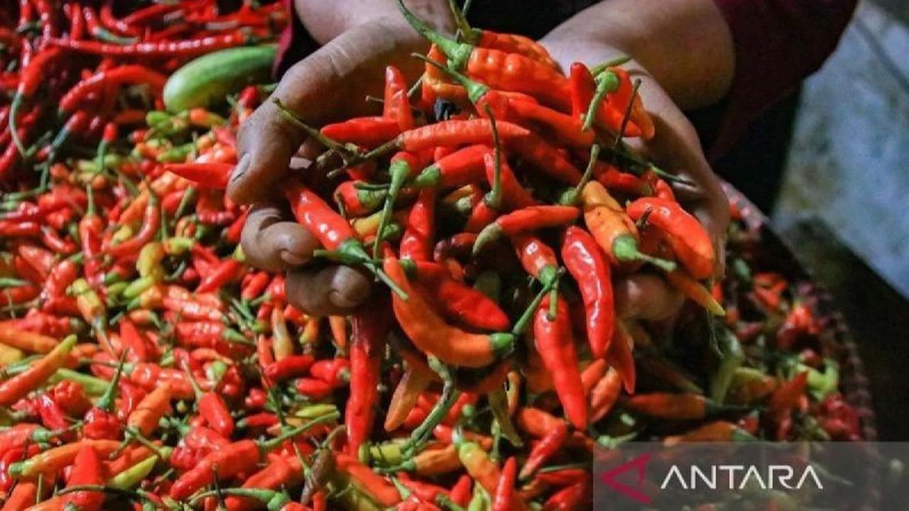 Harga Pangan Nasional Terkini: Cabai Rawit Tembus Rp65 Ribu, Telur Ayam Rp31 Ribu per Kg
