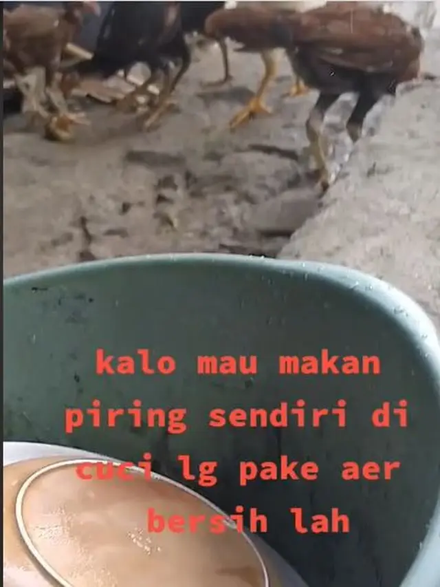Wanita Ini Cuci Piring di Rumah Mertua Pakai Air Kolam Ikan, Alasannya Miris
