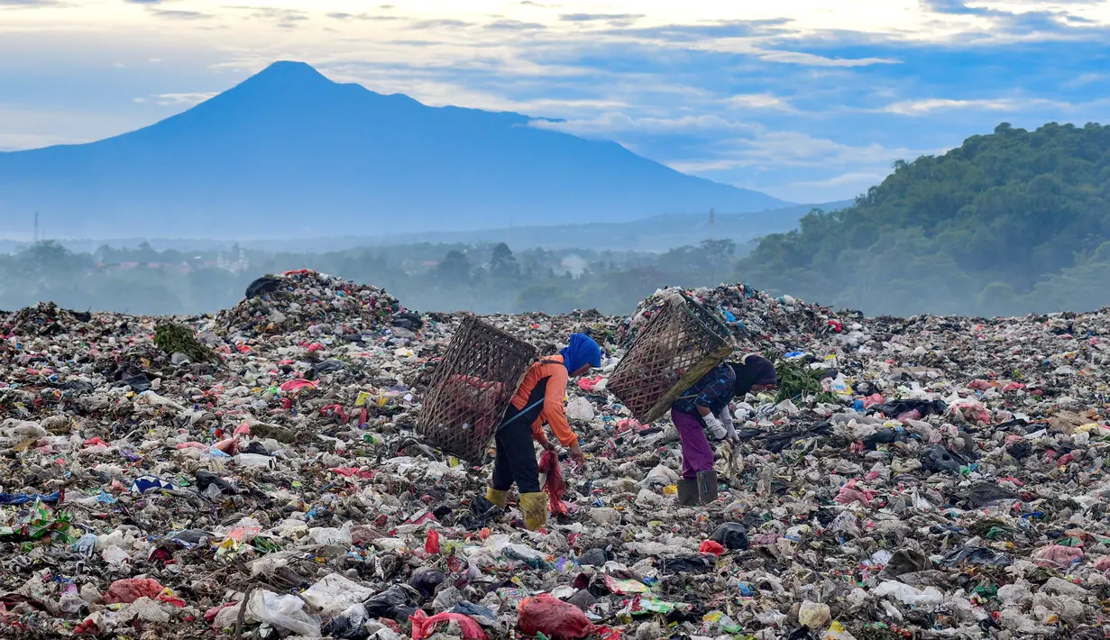 Warga yang berprofesi sebagai pemulung mengumpulkan sampah plastik dengan latar belakang Gunung Gede-Pangrango di Tempat Pembuangan Akhir Galuga, Bogor, Kamis (6/11/2025). Untuk diketahui, mikroplastik timbul dari proses degradasi tidak sempurna dari sampah plastik. Mikroplastik dapat tersebar melalui berbagai media mulai dari air sampai dengan udara. (merdeka.com/Arie Basuki)