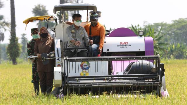 Pandemi Corona Tak Halangi Mentan SYL Panen Padi Inbrida di Kabupaten Pandeglang