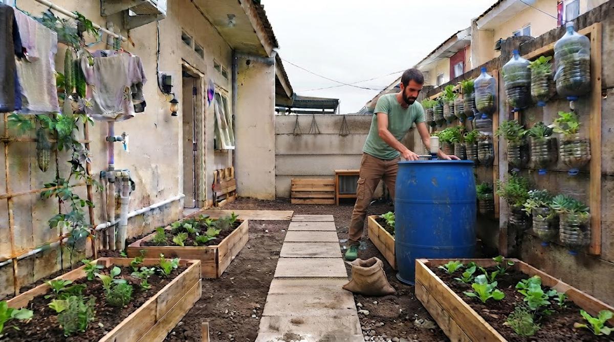 Menata Halaman Belakang Rumah Subsidi Jadi Kebun Sayur