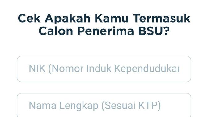 Go to bsu.kemnaker.go.id, How to Check Wage Subsidy Assistance of IDR 1 Million thumbnail