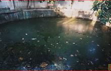 Fakta Unik Sendang Wonodri yang Berada di Tengah Kota Semarang, Dulu Pernah Jadi Tempat Mandi Presiden Soeharto