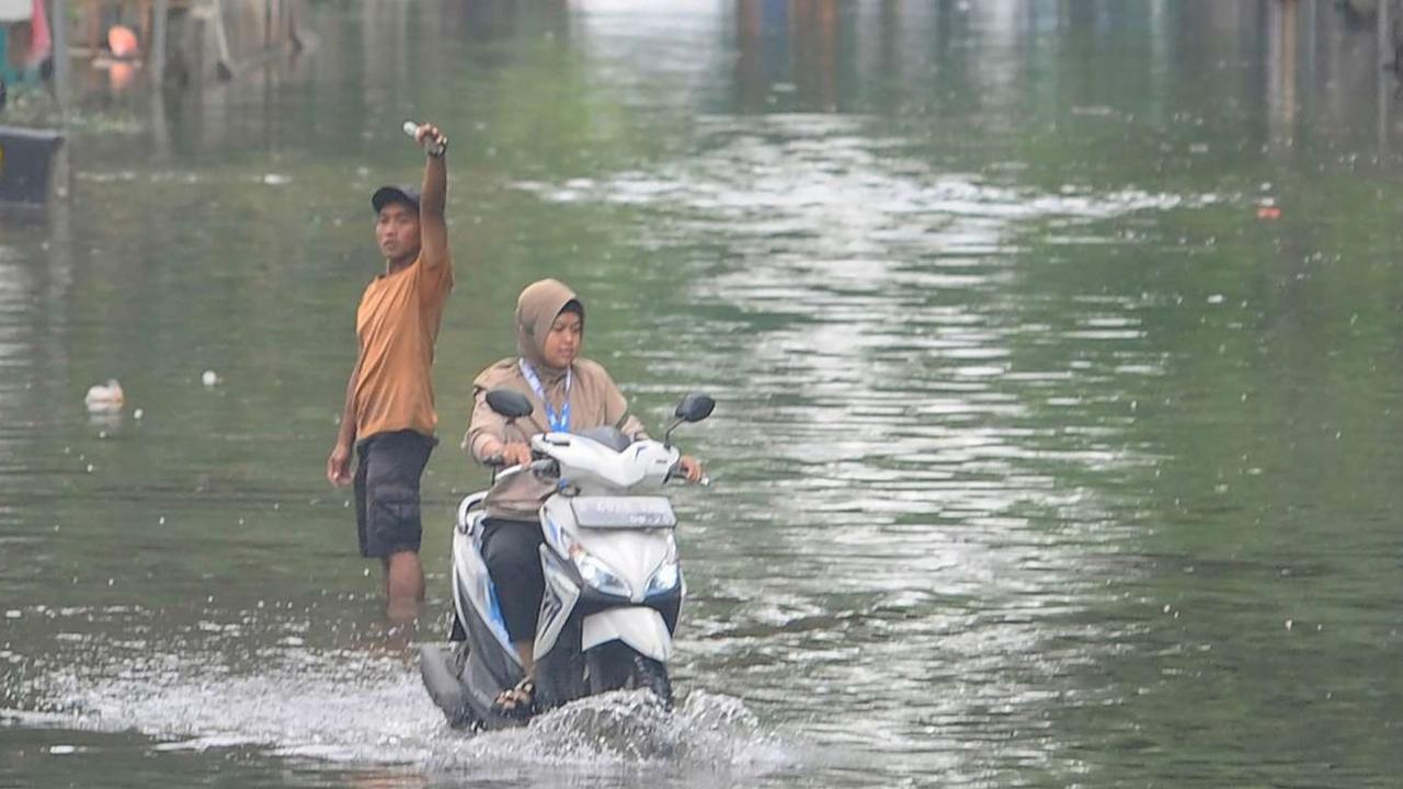 Mobil mewah mogok saat banjir rob di Muara Angke