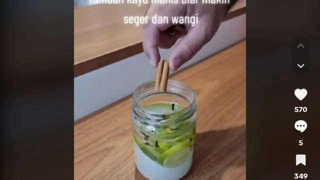 Gunakan 1 Jenis Minyak, Ini Trik Efektif Usir Nyamuk dan Lalat Tanpa Obat Serangga