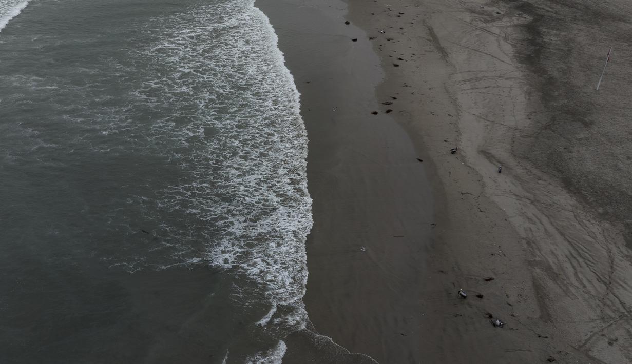 Pelikan mati tergeletak di pantai Santa Maria di Lima, Peru, Selasa (29/11/2022). Setidaknya 13.000 pelikan telah mati sejauh ini pada bulan November di Sepanjang Pantai Pasifik Peru akibat flu burung, menurut The National Forest and Wildlife Service (Serfor) pada hari Selasa. (AP Photo/Guadalupe Pardo)