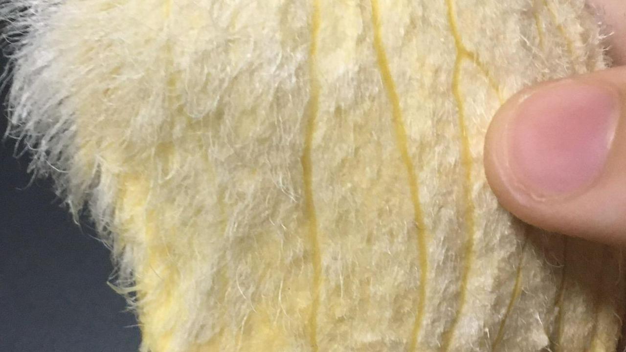 Unggahan Liu juga memperlihatkan bagaimana perubahan warna dari biji mangga itu dari kekuningan menjadi putih.