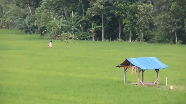 Potret aktivitas para petani penggarap di Kabupaten Sukabumi, Jawa Barat. (Liputan6.com/Fira Syahrin)
