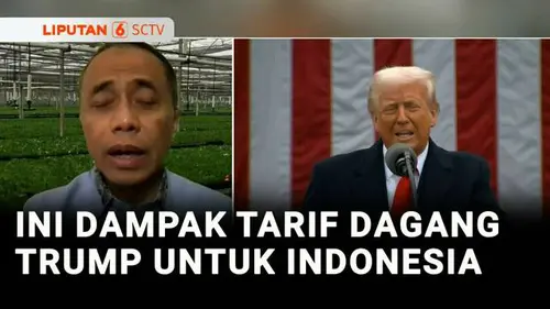 VIDEO: Sedang Viral: Tarif Dagang Trump, Harga di Pasar Global Berpotensi Naik!