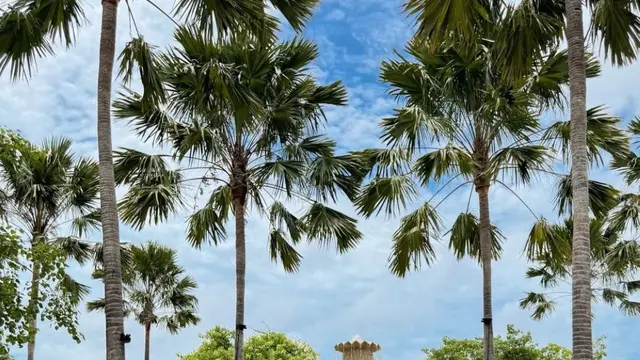 credit: https://www.instagram.com/shandyaulia/