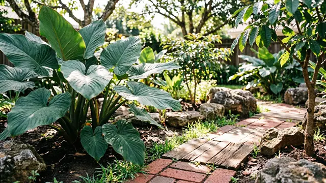Ide Kebun Umbi Yakon di Pekarangan Rumah (AI)