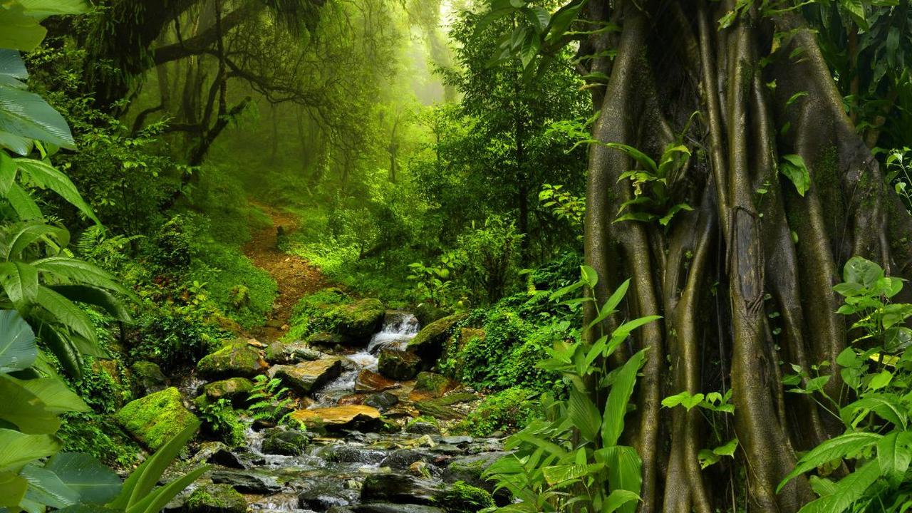 Bukit kecil