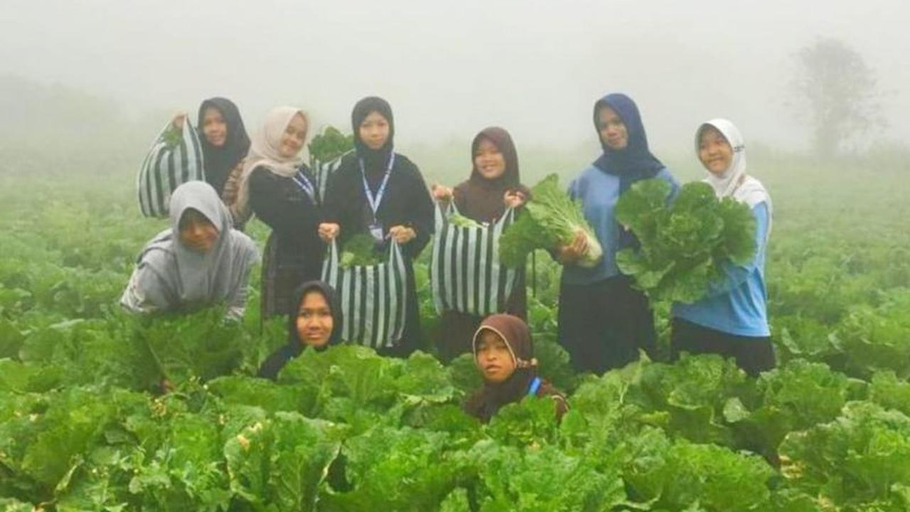 Kampung Susu Lawu Magetan Hadirkan Paket Wisata "Jika Aku Jadi Orang Desa"
