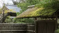 Kuil Jepang Ini Jadi “Pengungsian” Wanita Korban KDRT (Sumber: Zekkei Japan)