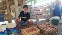Harga Pakan Meroket tapi Telur Ambruk, Peternak Tasikmalaya Terpaksa Lelang Ayam