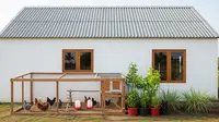 7 Gambar Rumah Minimalis di Desa Lengkap dengan Kandang Ayam Modern dan Fungsional