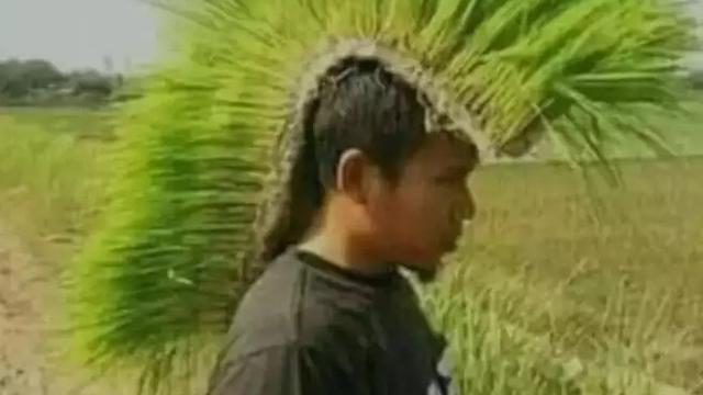 6 Tingkah Konyol Orang Punya Rambut dari Rumput, Absurd Banget