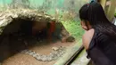 Warga mengunjungi Pusat Pendidikan Konservasi Margasatwa Uganda (Uganda Wildlife Conservation Education Center/UWEC) di Entebbe, 9 Agustus 2020. Uganda pada Sabtu (8/8) membuka kembali UWEC untuk wisatawan saat negara di Afrika Timur itu melonggarkan kebijakan lockdown. (Xinhua/Nicholas Kajoba)