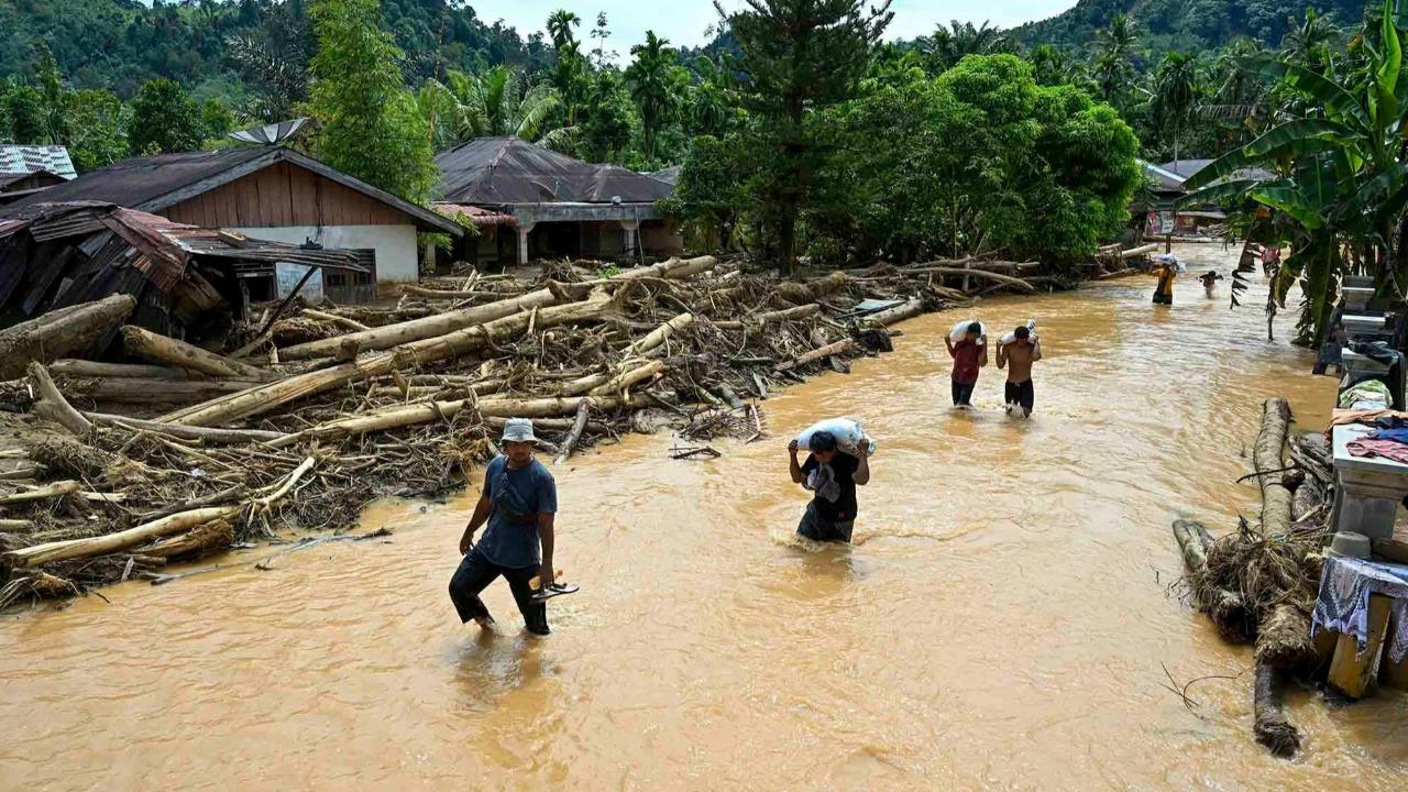 Ramai Soal Patungan Beli Hutan, Komisi IV Sebut Pemerintah Harusnya Evaluasi