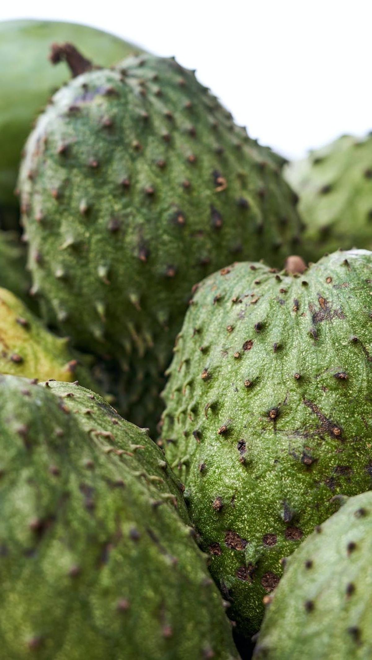4. Meningkatkan imun tubuh
Sirsak kaya akan vitamin C. Vitamin ini dapat memperkuat sistem kekebalan tubuh dalam melawan patogen
