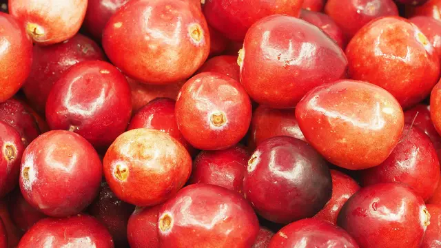 Manfaat buah Cranberry