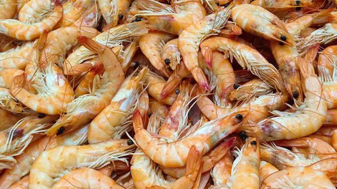 copyright pixabay.com/Jackmac34