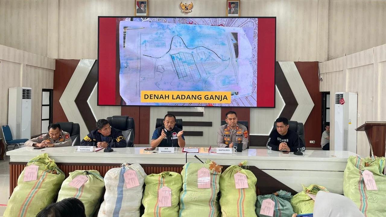 FOTO: Polda Sumsel Bongkar Ladang Ganja 20 Hektar di Empat Lawang