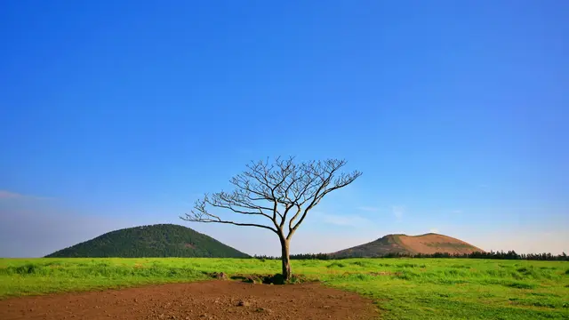 Jeju Island