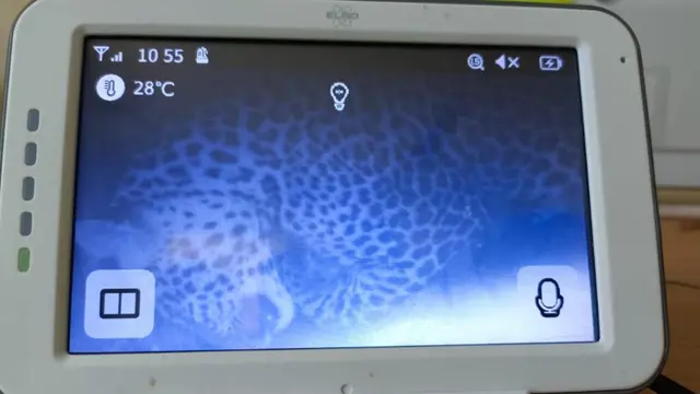 Macan Tutul Masuk Hotel Dibawa ke Pusat Penyelamatan Satwa Sukabumi