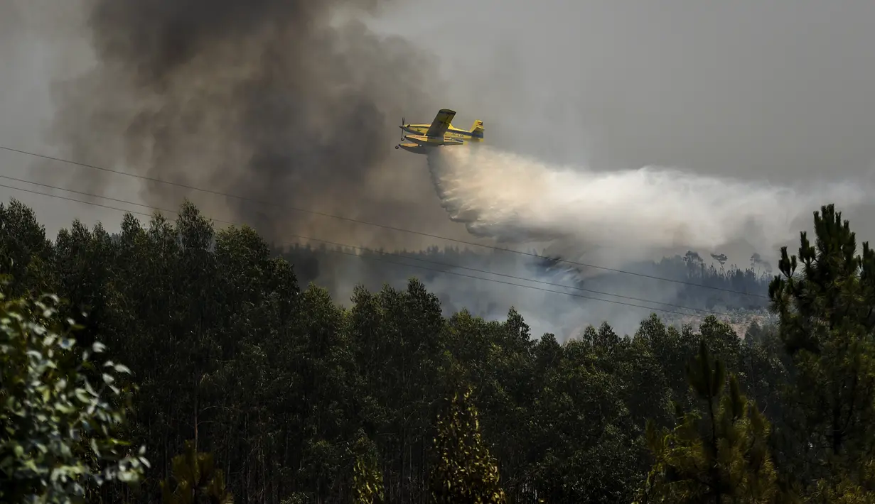 Sebuah pesawat pemadam kebakaran menjatuhkan air ke area kebakaran di Amendoa, Macao, di Portugal tengah (21/7/2019). Lebih dari seribu petugas pemadam kebakaran berjuang untuk memadamkan kebakaran hutan tersebut. (AFP Photo/Patricia De Melo Moreira)