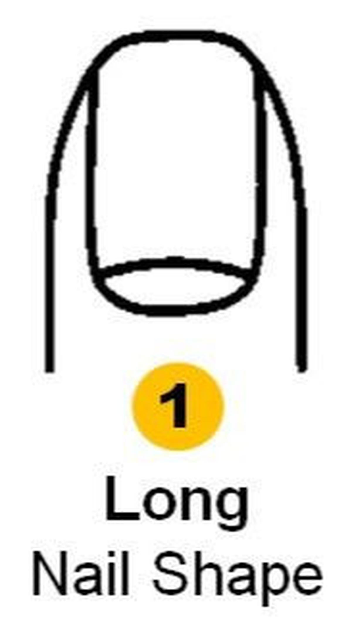 1. Bentuk Kuku Panjang Vertikal<br>