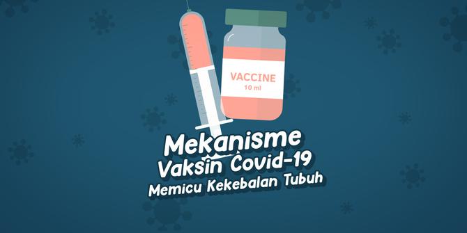 VIDEOGRAFIS: Mekanisme Vaksin Covid-19 Memicu Kekebalan Tubuh