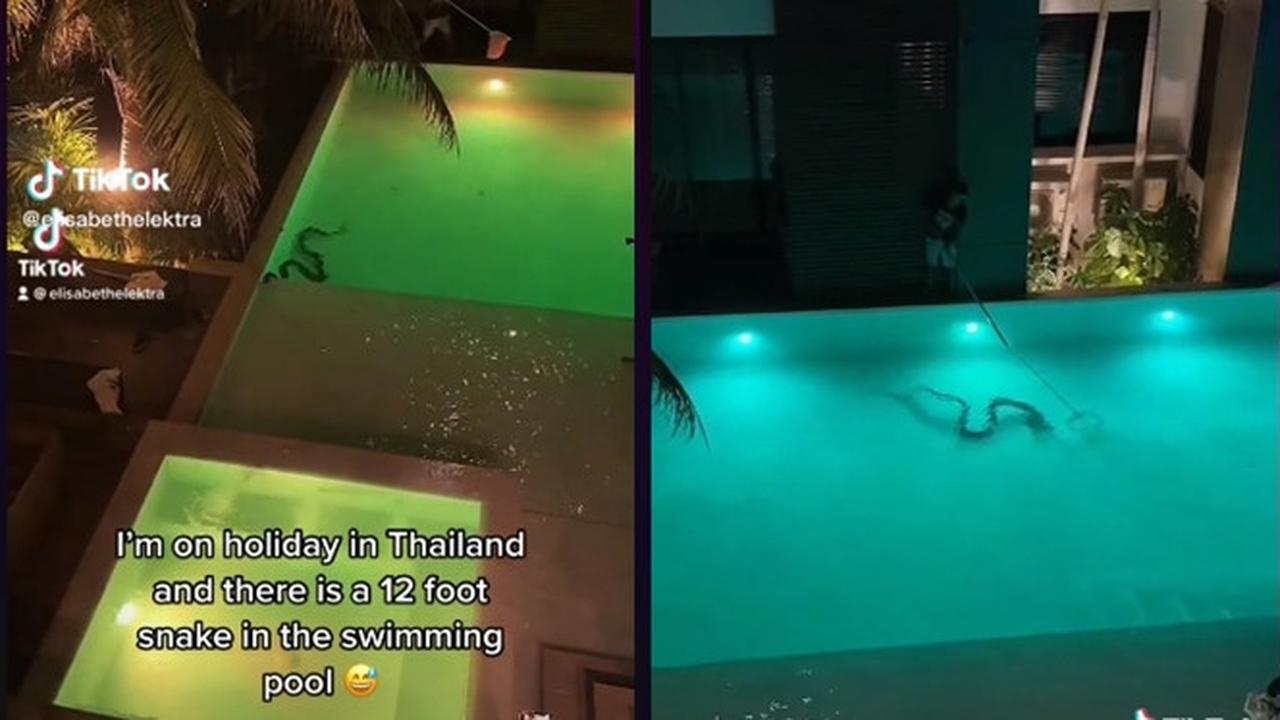 Viral Penampakan Ular di Kolam Renang Hotel Ini Bikin Merinding