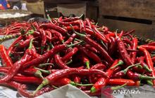 PIHPS Nasional Rilis Harga Pangan Nasional Terkini: Cabai Rawit Tembus Rp73.500/Kg