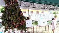 Sajian pinang dan sirih di TPS saat Pilkada Papua 2018 di Kelurahan Abepantai, Kota Jayapura. (Kabarpapua.co/Liza Indriyani)