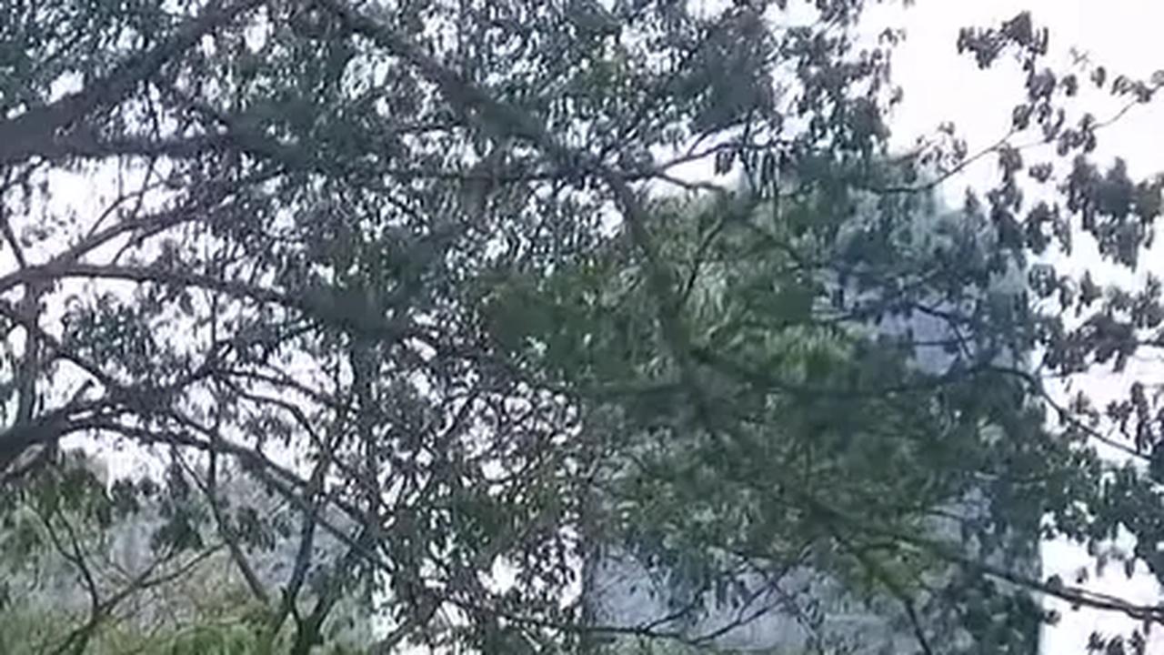Ada Sungai Bersih di Jakarta, Viewnya Dikelilingi Gedung Tinggi Bak Luar Negeri