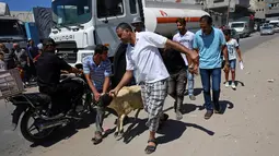 Warga membawa domba yang diberikan yayasan Zakat di Amerika untuk merayakan Hari Raya Idul Adha di kantor UN Relief Works Agency (UNRWA) di Shati Refugee Camp, Gaza, (29/8). UNRWA membagikan ratusan ekor domba ke pengungsi Palestina. (AP Photo/Adel Hana)