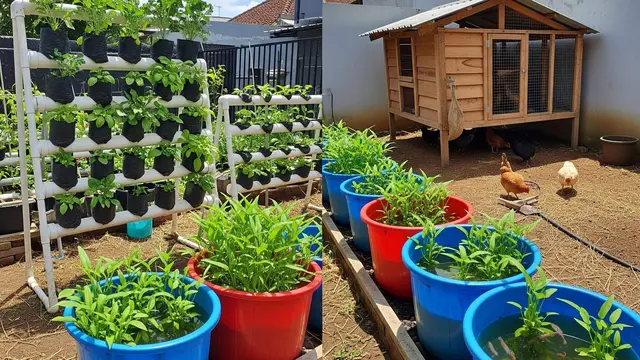 Kiat Hasilkan Uang dari Rumah Lewat Berkebun & Beternak