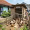 7 Ternak Hewan Mini untuk Rumah Dekat Pasar, Pakan Gratis dari Sisa Sayur