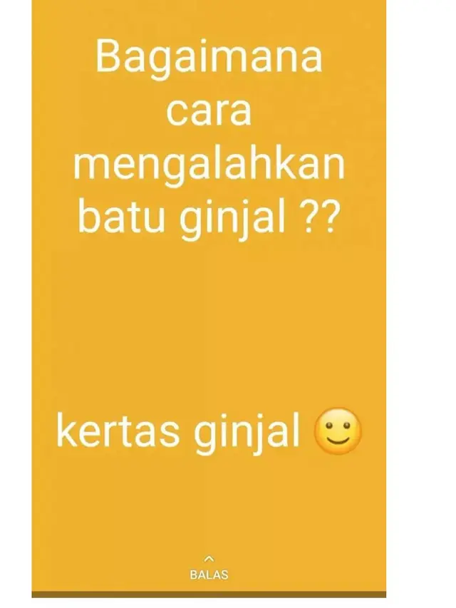 10 Status WhatsApp Bapak-Bapak Ini Absurd Sekaligus Receh Abis