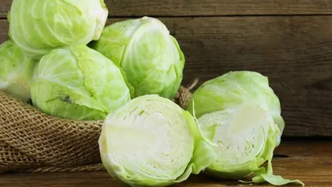 Foto: copyright caloriesecret.com