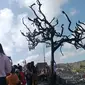 Penampakan pascakebakaran Desa Adat Sade di Kecamatan Pujut, Lombok Tengah, Nusa Tenggara Barat (NTB). (Dok. Antara)